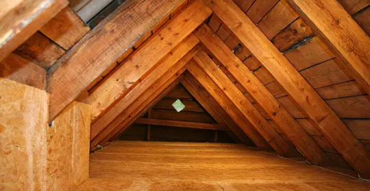 attic and crawl space cleanup services