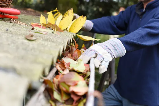 bay area gutters and downpipes cleaning services